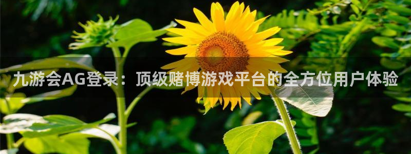 吕梁聚富花园现在情况