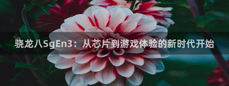 工银聚富收益怎么查看