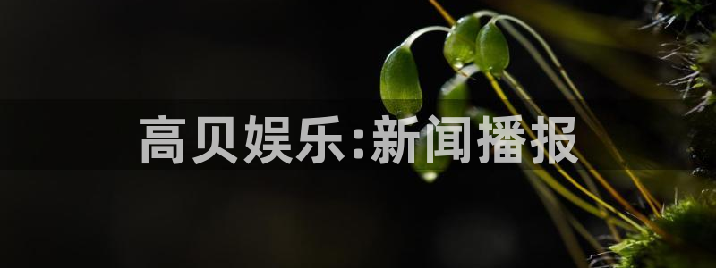 聚富公馆