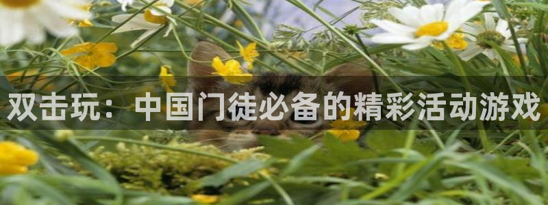 聚富集团