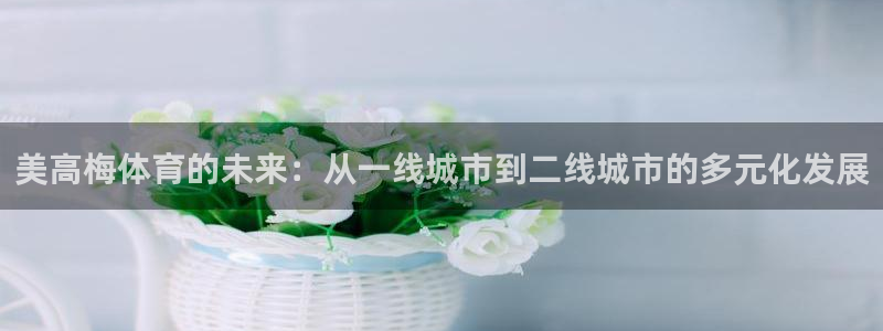 聚富网络