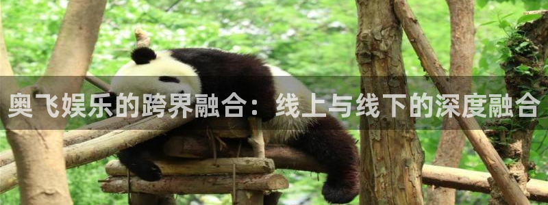 聚富钱包