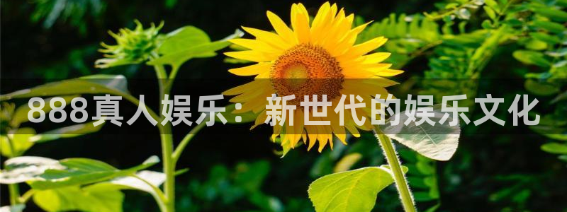 工银聚富有风险吗