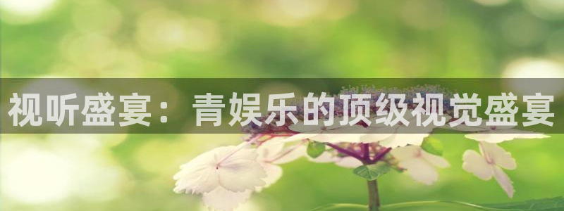 聚富宝是诈骗软件吗：视听盛宴：青娱乐的顶级视觉盛宴