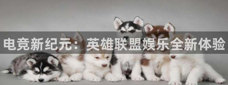 聚富商务酒店：电竞新纪元：英雄联盟娱乐全新体验