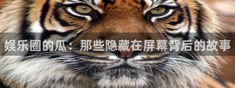 工银聚富保本吗：娱乐圈的瓜：那些隐藏在屏幕背后的故事