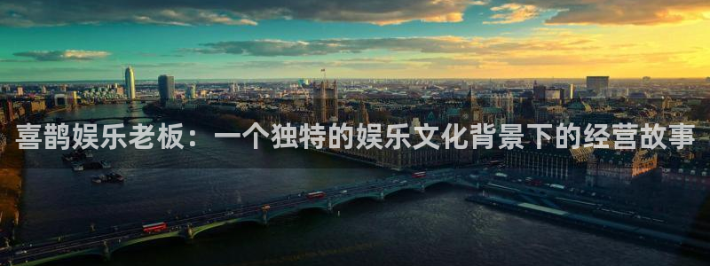 邵阳市聚富房地产开发有限责任公司：喜鹊娱乐老板：一个独特的娱乐文化背景下的经营故事