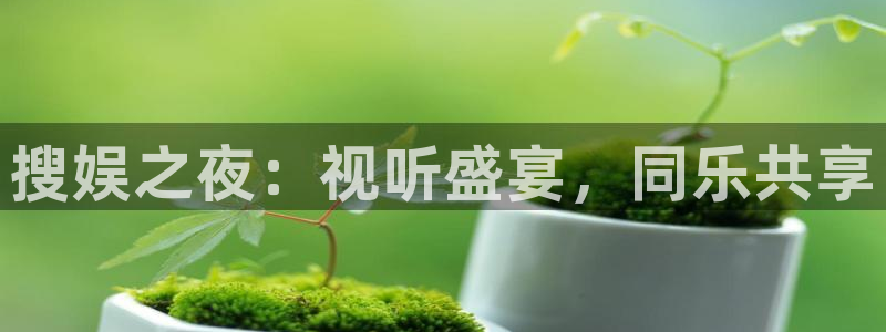 聚富鑫是正规公司吗：搜娱之夜：视听盛宴，同乐共享
