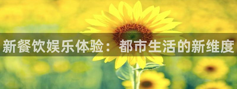 工银聚富是什么：新餐饮娱乐体验：都市生活的新维度