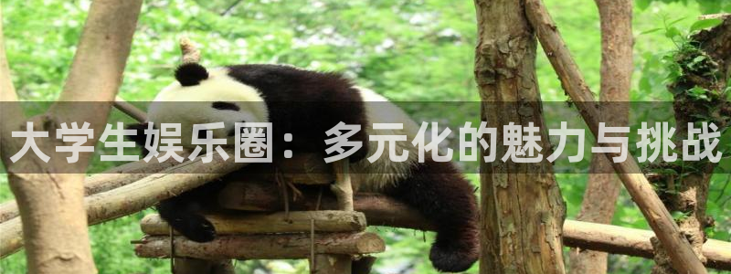 聚富联盟：大学生娱乐圈：多元化的魅力与挑战