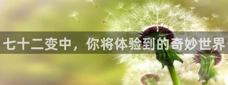 聚富联盟：七十二变中，你将体验到的奇妙世界
